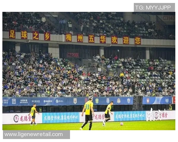 韦姓足球明星的辉煌历程与成就解析